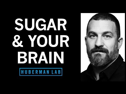 Controlling Sugar Cravings &amp; Metabolism with Science-Based Tools | Huberman Lab Podcast #64