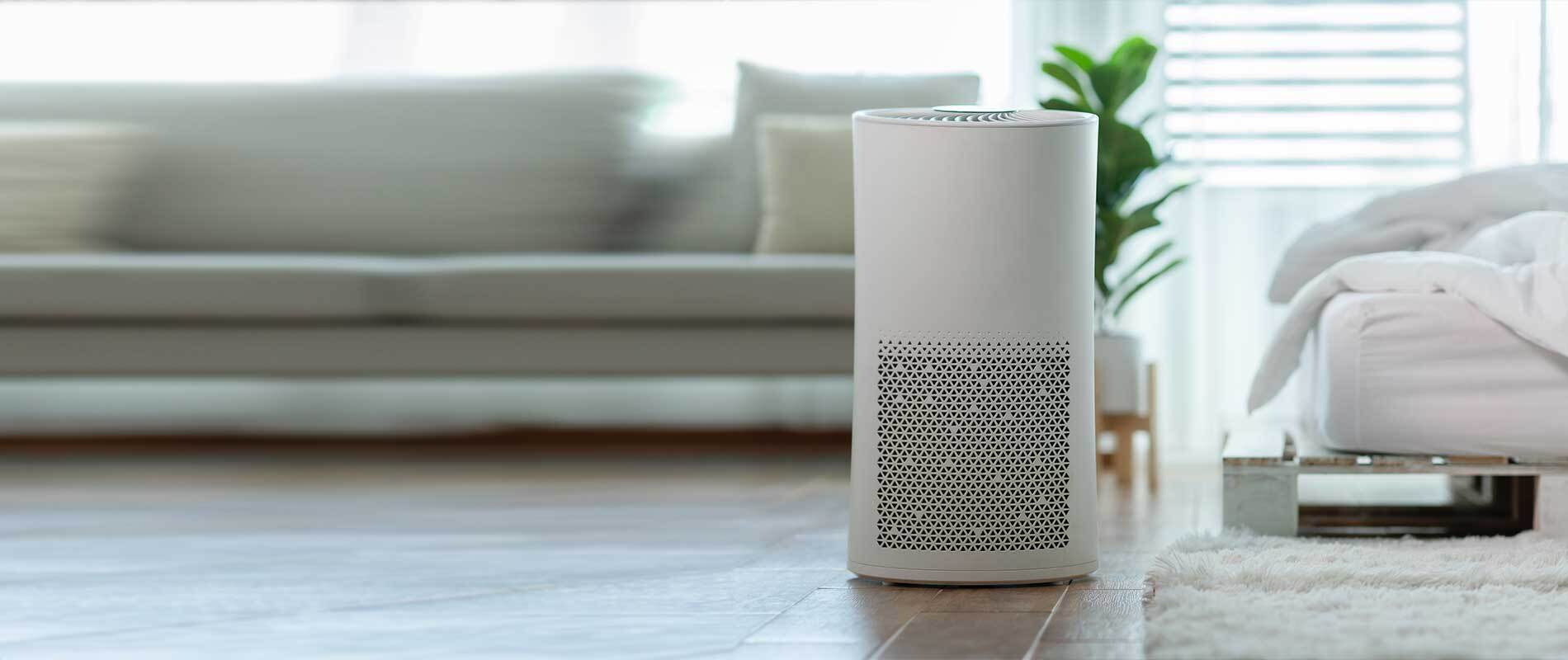 The 8 Best Air Purifiers of 2024, Tested & Reviewed