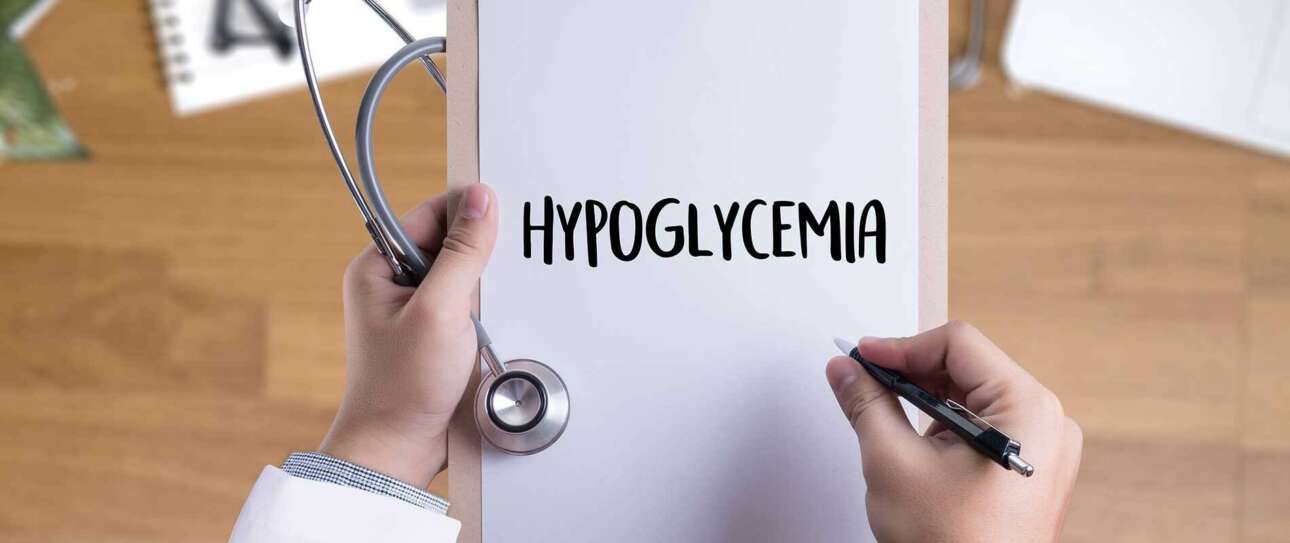 Managing Hypoglycemia In Large Breed Dogs