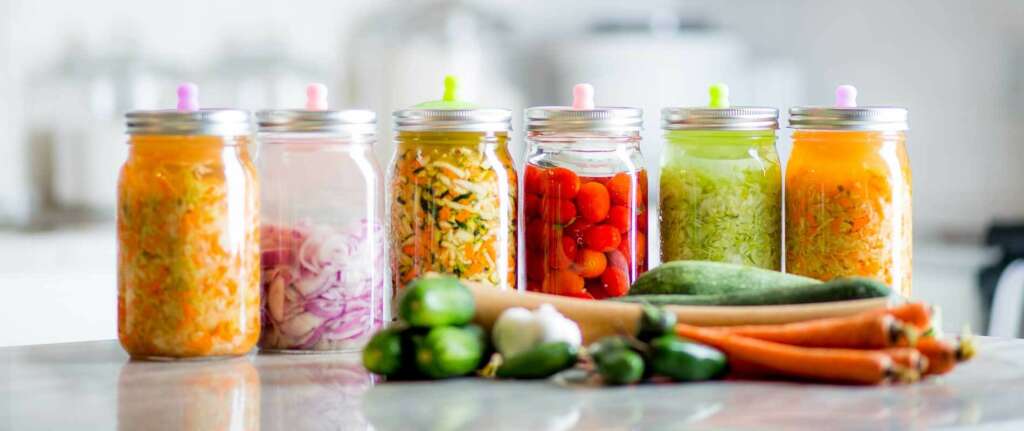 Fermented Pickle Recipes - Homemade Pickling Guide