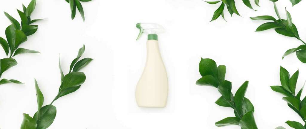 Homemade plant fertilizers for natural gardening growth