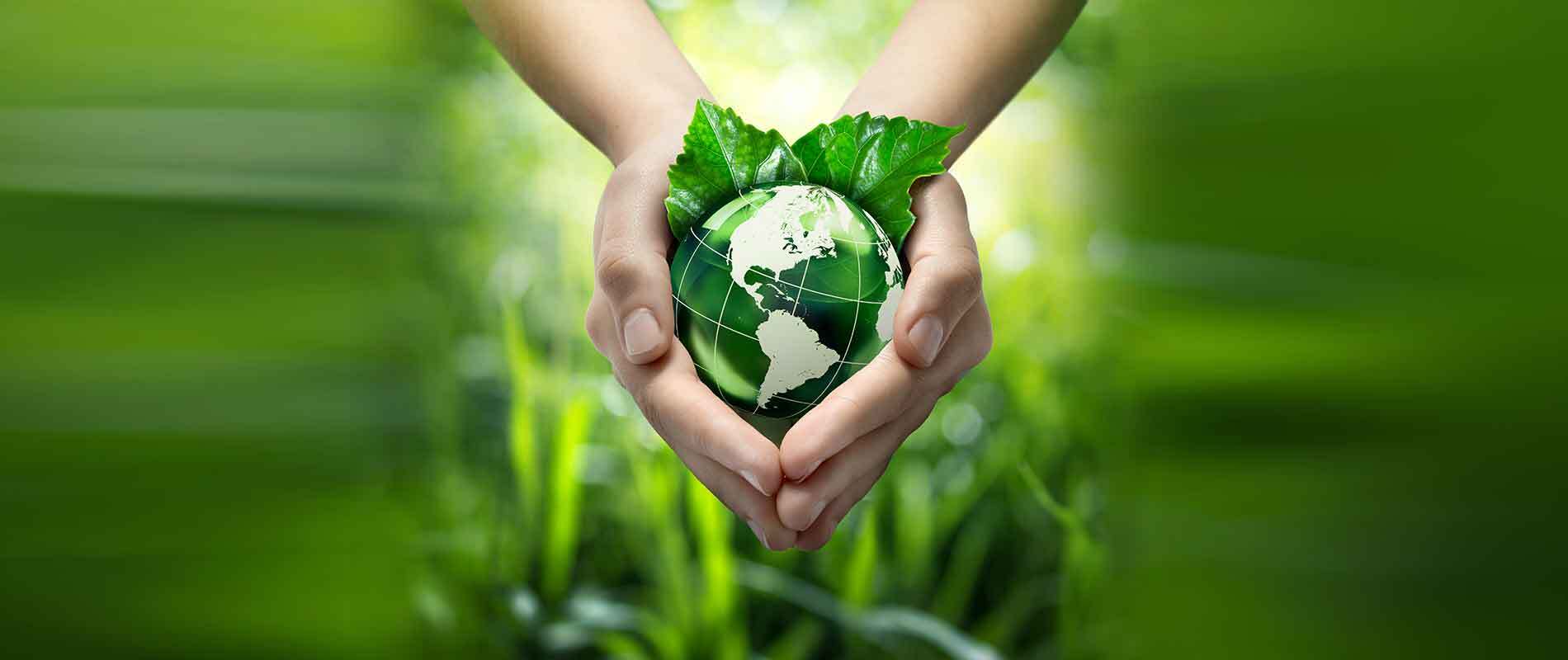 The Role Of Individuals In Environmental Protection